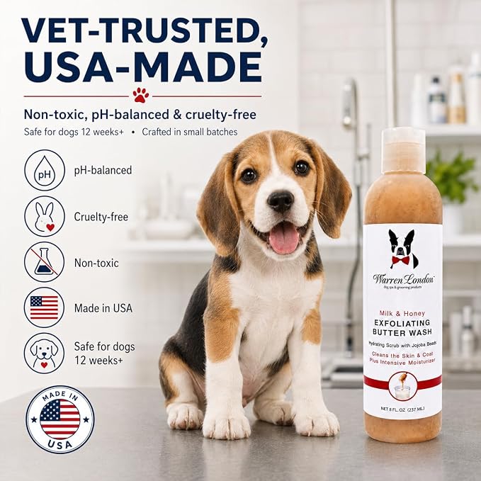Warren London Exfoliating Butter Wash Dog Shampoo – Milk & Honey, 8 oz | Cleansing, Conditioning & Exfoliating Shampoo with Jojoba Beads for Dry Skin, Flakes, Soft Coat & Shine | Made in USA