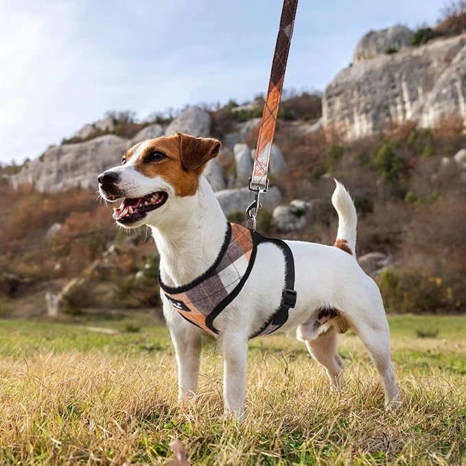 PUPTECK Soft Mesh Dog Harness and Leash Set Pet Puppy Cat Comfort Padded Vest No Pull Harnesses, Orange, XS