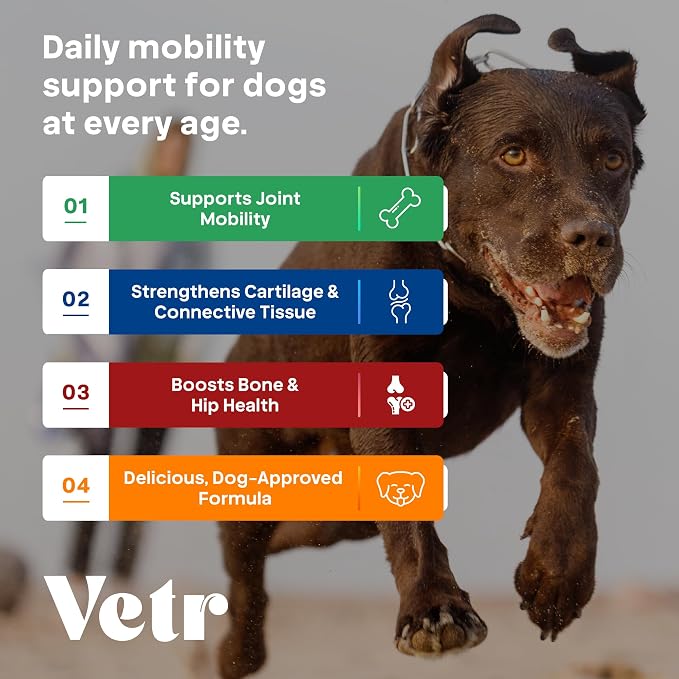 Vetr Hip and Joint Chicken Flavored Chews for Dogs - Glucosamine Chondroitin MSM Supplement - 60 Chewable Tablets - Vet-Formulated in USA