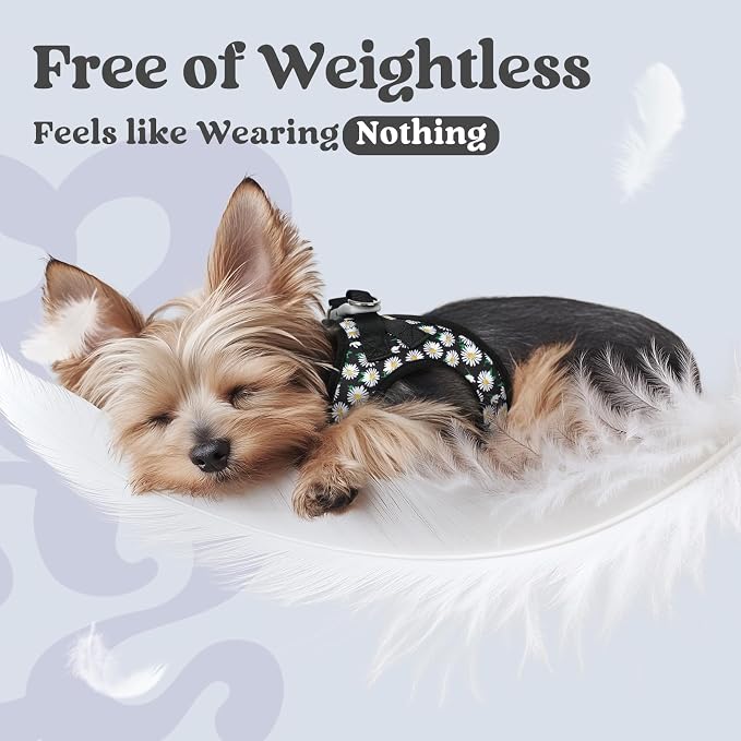 rabbitgoo Step-in Small Dog Harness, Puppy Vest for Small Sized Pet | Easy Put on and off, Lightweight, Soft, Breathable Quick-Dry Air Mesh for Comfortable Secure Walking, Midnight Daisy XS