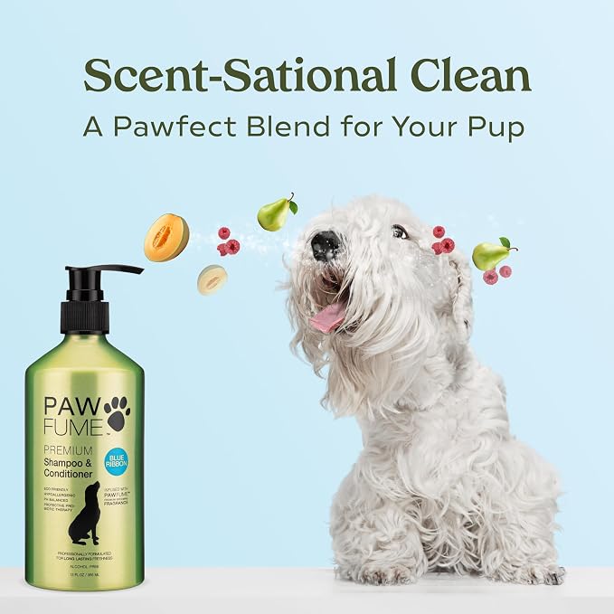 PAWFUME Dog Shampoo and Conditioner, Blue Ribbon, 1-Pack | Probiotic pH-balanced formula nourishes, detangles and deep cleans for silky coat, Puppy Shampoo and Conditioner