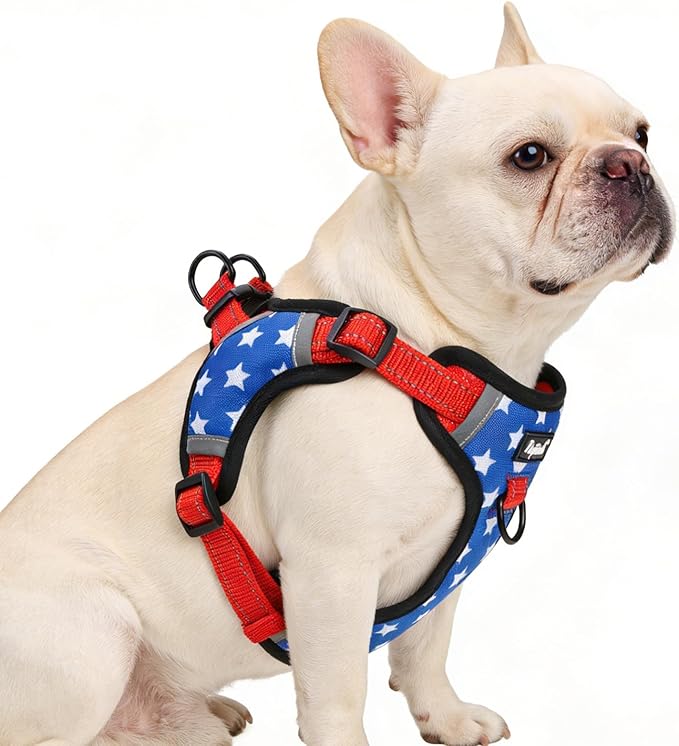 PUPTECK Dog Harness Small Sized Dog, Step in Adjustable Reflective Dog Vest Harness Escape Proof, No Pull Soft Padded Harness Easy Control, Star, M