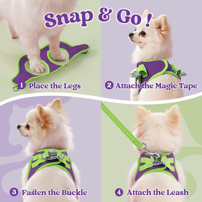 rabbitgoo Dog Harness Small Sized and Leash Set, Step in Soft Vest | Breathable Mesh, Easy Wear with Hook & Loop, Light and Reflective for Walking, Multi-colored, Purple & Green, S