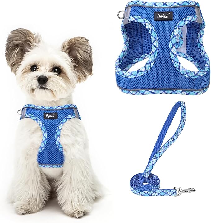 PUPTECK Dog Harness and Leash Set for Small Medium Dogs No Pull Step-in Soft Mesh Puppy Cat Vest Harnesses Reflective at Night, Upgraded New Blue S