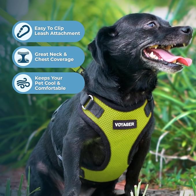 Best Pet Supplies Voyager Step-in Lock Pet Harness w Reflective Pet Leash Combo Set with Neoprene Handle 5ft - Supports Small, Medium and Large Breed Puppies/Cats - Lime Green/Black Trim, S