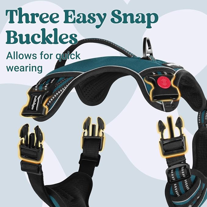 rabbitgoo Large Dog Harness, Easy Wear with 3 Buckles and Lift Handle | No Pull with Front Clip for Walking, Adjustable Soft Padded, Reflective, Easy Control, Green, Small