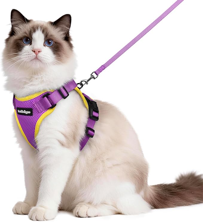 rabbitgoo Cat Harness and Leash Set, Escape Proof Vest, Purple & Yellow | Soft Breathable Mesh, Easy Adjustable Fit, Snap Buckles, Sturdy Clip, Reflective Strips, for Medium to Large Cats Walks, M