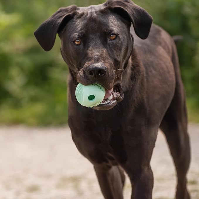 Chew King by Mammoth Dental Dog Toy Collection, Fetch Ball Clinically Proven to Remove Plaque, 2.5" Dental Ball