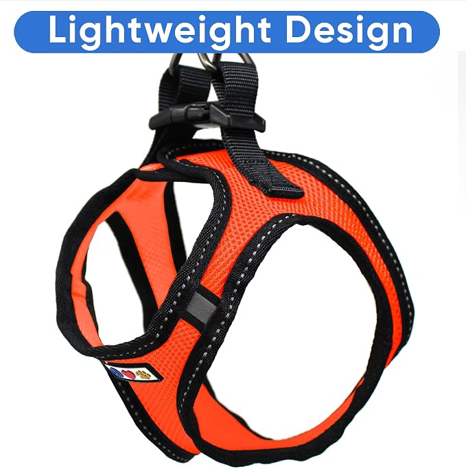 Pawtitas Dog Vest Harness Made with Breathable Air Mesh | All Weather Vest Harness for Medium Puppies and Extra Large Cats with Quick-Release Buckle - Medium Orange Mesh Dog Harness