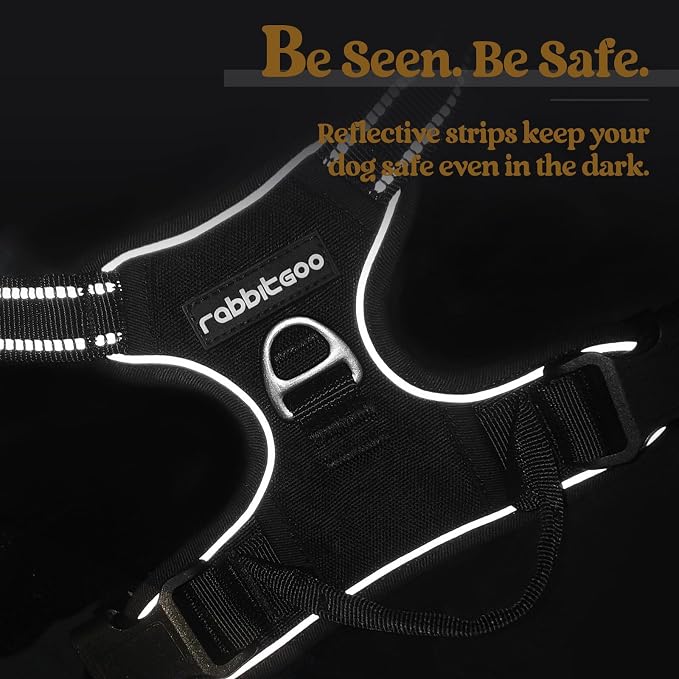 rabbitgoo Dog Harness, No Pull Medium Sized with 2 Leash Clips, Pet Vest | No Choke with Handle, Adjustable Soft Padded, Reflective, Easy Control for Walking, Black, Medium