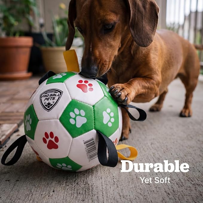 Maccabi Interactive Dog Soccer Ball for Dogs, 6” with Straps & Grab Tabs, Floats on Water, Fetch & Training Toy for Small/Medium Dogs, Herding Breeds, Waterproof Non-Toxic – ProBall Pets – Green Red