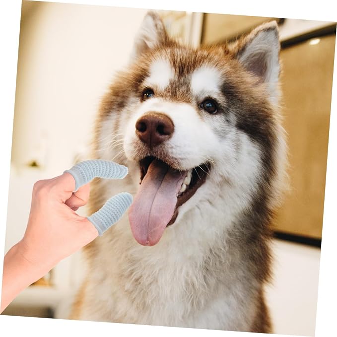 GALPADA 10pcs Finger Toothbrush for Dogs and Cats Easy Use Pet Care Tool for Small and Large Breeds Lightweight and Portable for Teeth Cleaning