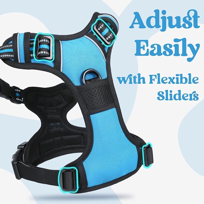 rabbitgoo Dog Harness Medium Sized, Updated Easy On & Off with 3 Buckles | No Pull No Choke, Walking with 2 Clips and Handle, Adjustable Soft Reflective, Sky Blue, Medium