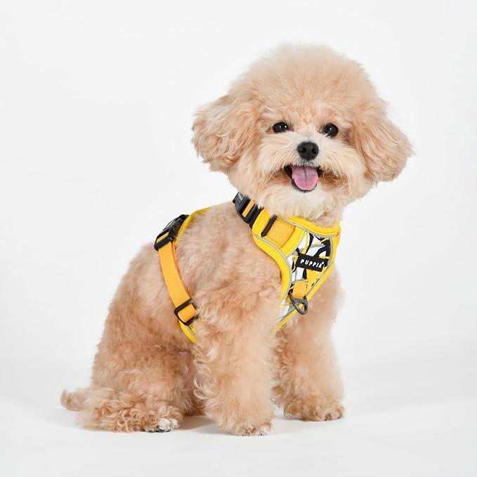 Puppia Abstract Dog Harness H Sturdy Adjustable Neck and Chest Reflective Paint Pattern Front and Back D-Ring for Small and Medium Dogs, Yellow, X-Large