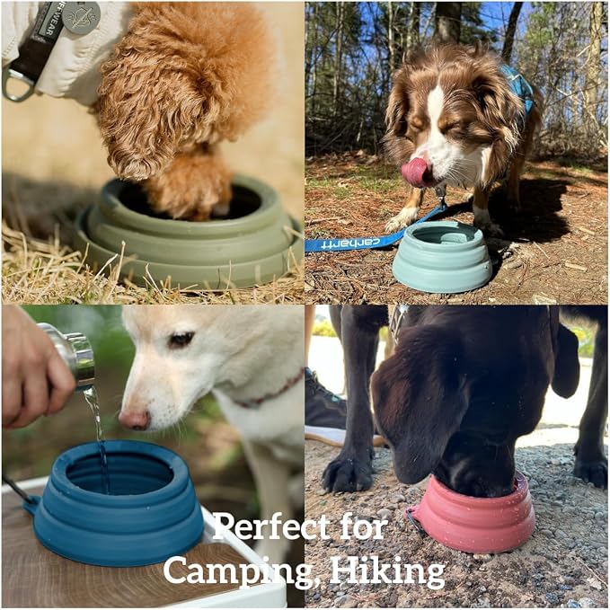 OHMO Spill Proof Collapsible Dog Water Bowl, Large 34oz