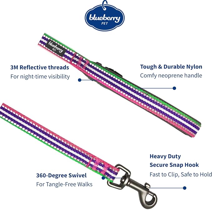 Blueberry Pet Dog Leash - Reflective, Strong & Comfortable | Pinch Collar for Dogs & Puppy Essentials | Heavy Duty Dog Leashes for Large & Medium Size | Gentle Leader Products