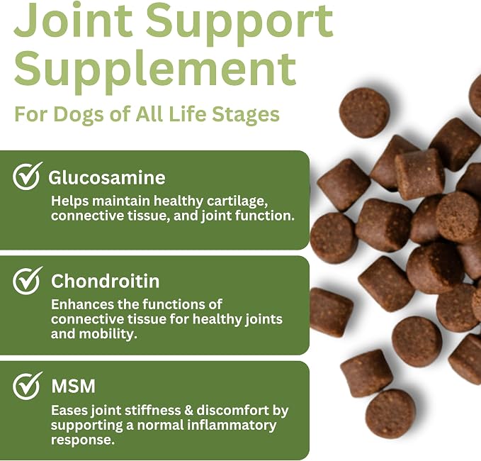 Hip & Joint Supplement Soft Chews for Dogs – Advanced Mobility & Comfort Support – Glucosamine, Chondroitin, MSM, Turmeric, Boswellia & Collagen – 60 Count