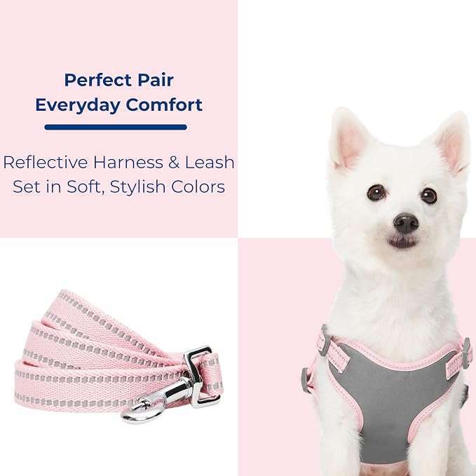 Blueberry Pet Matching Reflective Harness and Leash Set | Adjustable Pastel Vest with Lead for Dogs – Great Value Gift Set | Adjustable Baby Pink Vest for Medium Breeds