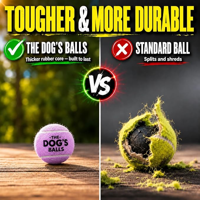 The Little Dog’s Balls Small Dog Tennis Balls 6-Pack Purple Floats in Water | Our fetch balls combine non-abrasive felt exterior and a thicker rubber core Durable Dog Toy for Outdoor Play & Training