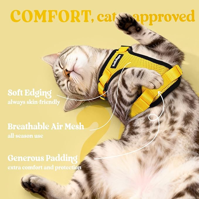 rabbitgoo Cat Harness and Leash Set, Escape Proof Vest, Yellow | Soft Breathable Mesh, Easy Adjustable Fit, Snap Buckles, Sturdy Clip, Reflective Strips, for Medium to Large Cats Walks, M
