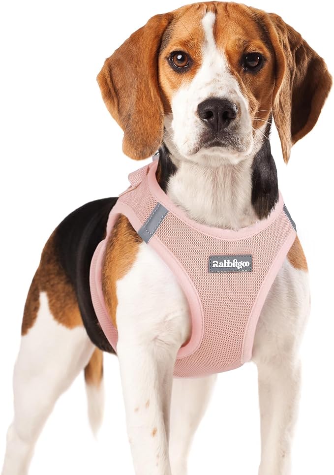 rabbitgoo Step-in Small Dog Harness, Puppy Vest for Small Medium Sized Pet | Easy Put on and off, Lightweight, Soft, Breathable Quick-Dry Air Mesh for Comfortable Secure Walking, Pink XL