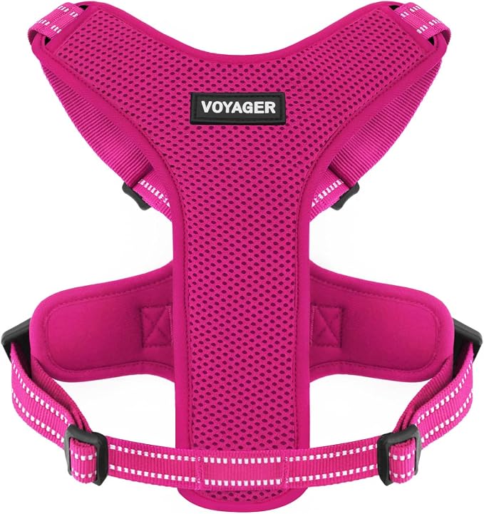 Air Frontier Mesh Dog Harness with Steel Leash D-Ring, Reflective Stitching, and Lightweight Breathable No-Pull Design, Adjustable Neck and Chest Straps for Small to Large Breeds - FSW, S