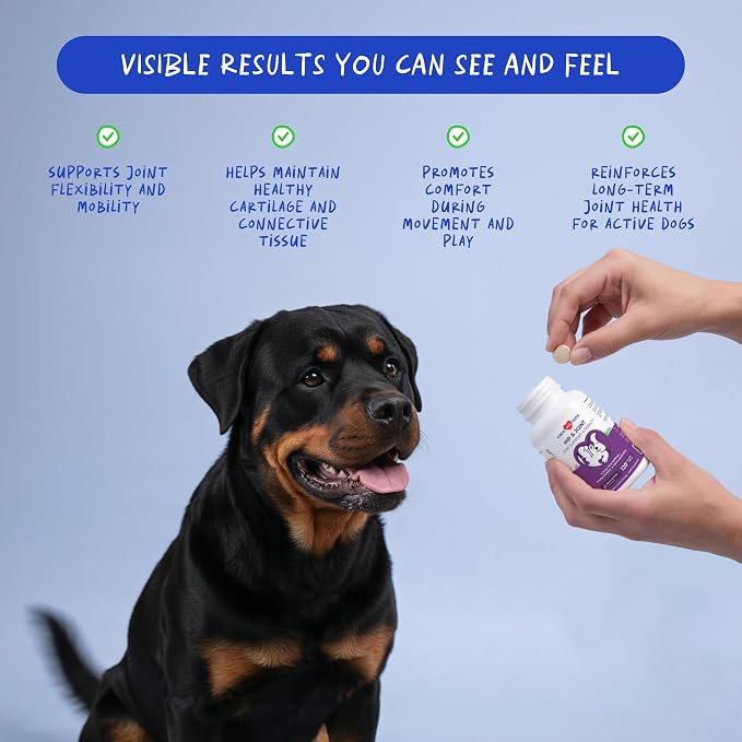 Hip & Joint for Dogs 120 Tablets - Glucosamine, MSM & Chondroitin