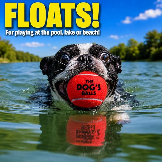 The Little Dog’s Balls Small Dog Tennis Balls 6-Pack Red Floats in Water | Our fetch balls combine non-abrasive felt exterior and a thicker rubber core Durable Dog Toy for Outdoor Play & Training