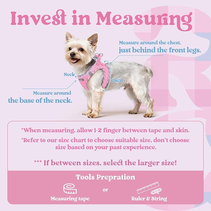 rabbitgoo Step-in Small Dog Harness, Puppy Vest for Small Sized Pet | Easy Put on and off, Lightweight, Soft, Breathable Quick-Dry Air Mesh for Comfortable Secure Walking, Pink & Plaid Trim M