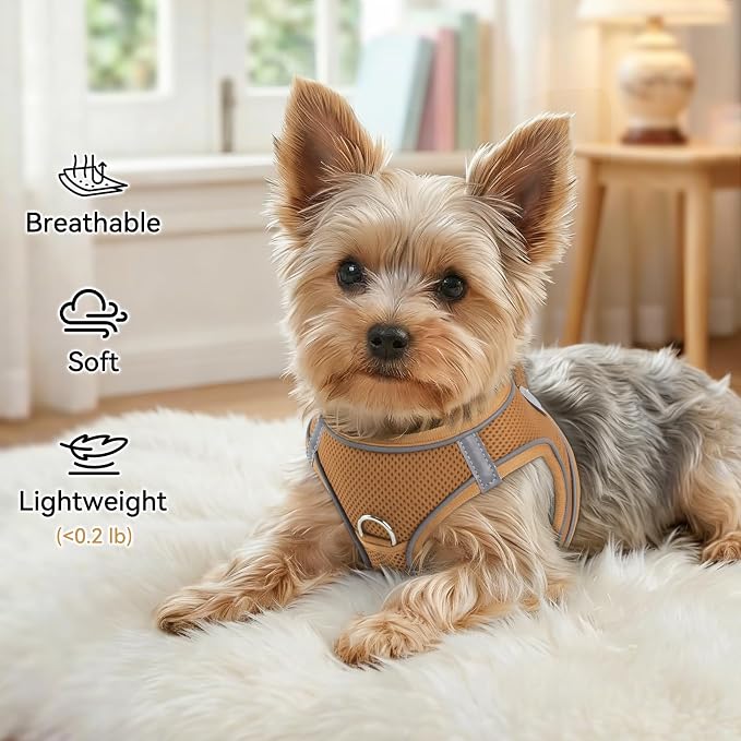 Joytale Step-in Dog Harness, Soft Breathable Mesh, Brown XXS | Adjustable Fit for Small Dogs, Easy Step-in with Secure Fastener, Even Chest Pressure, Reflective For Night Safety, Washable
