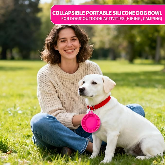 SLSON Macaron Collapsible Dog Bowl, 2 Pack, Small, Bright Pink & Bright Green
