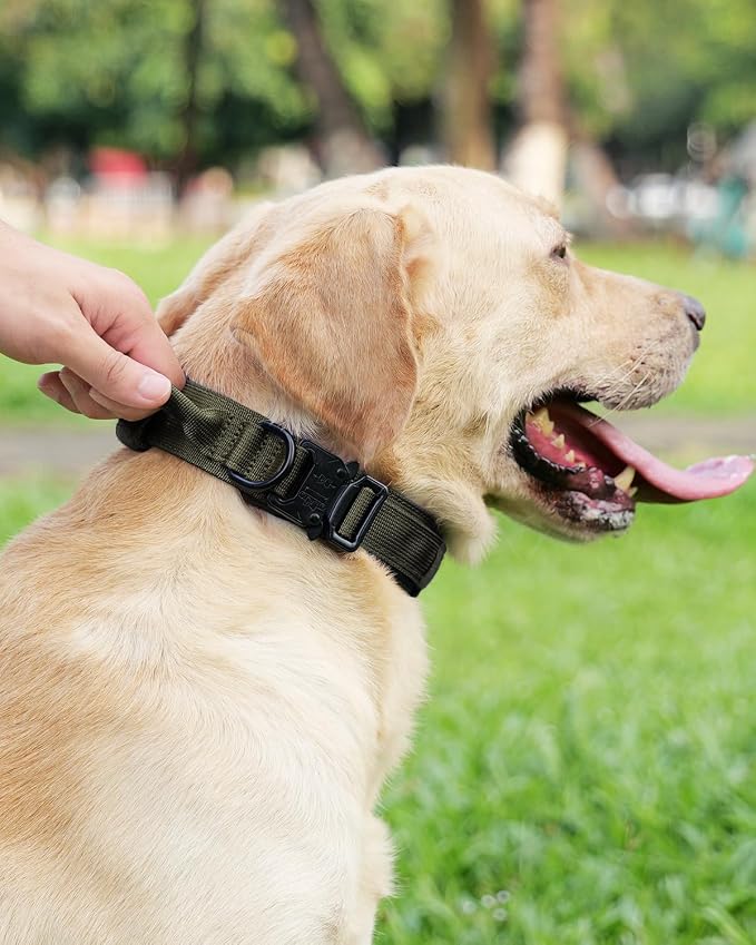 Joytale Tactical Dog Collar and Leash Set, Adjustable Strong Collar with Handle and Shock Absorbing Bungee Leash for Medium Dogs (ArmyGreen, M)