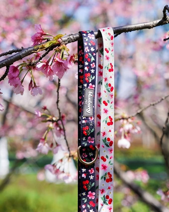 Blueberry Pet 9 Patterns Cherry Garden Black Dog Leash 5 ft x 3/4", Medium, Leashes for Dogs