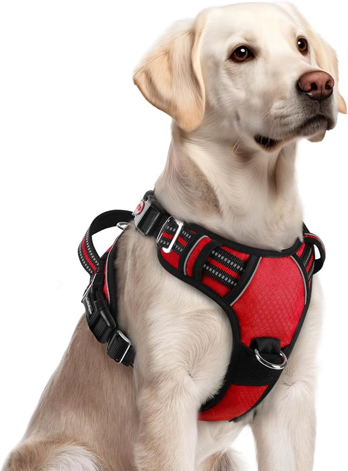 rabbitgoo Dog Harness for Large, No Pull 3 Buckles Easy On & Off | Soft Padded, Walking with Control Handle, Adjustable and Reflective, Red, Large