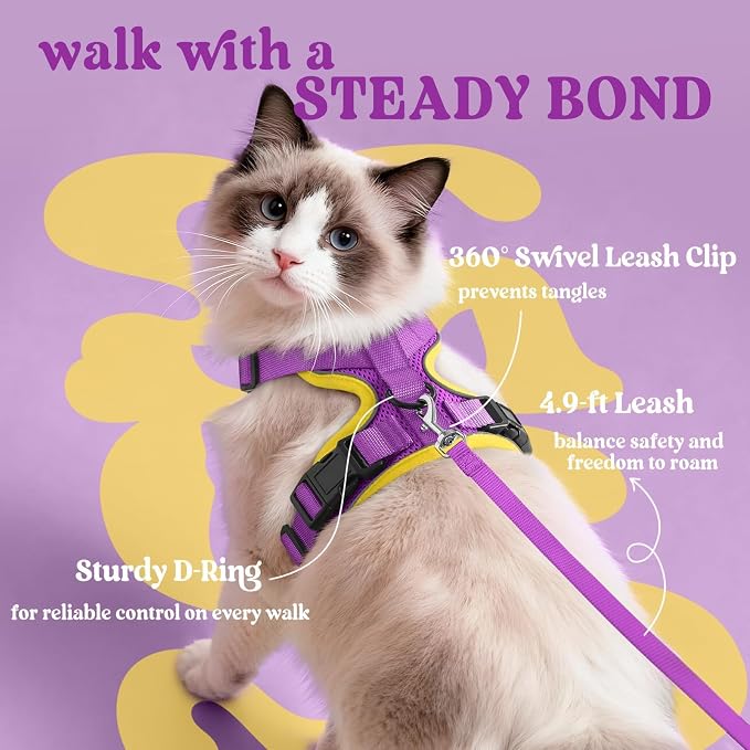 rabbitgoo Cat Harness and Leash Set, Escape Proof Vest, Purple & Yellow | Soft Breathable Mesh, Easy Adjustable Fit, Snap Buckles, Sturdy Clip, Reflective Strips, for Kittens & Small Cats Walks, Xxs
