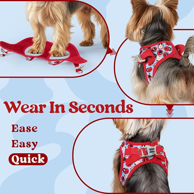 rabbitgoo Step-in Small Dog Harness, Puppy Vest for Small Sized Pet | Easy Put on and off, Lightweight, Soft, Breathable Quick-Dry Air Mesh for Comfortable Secure Walking, Apple Pups XS