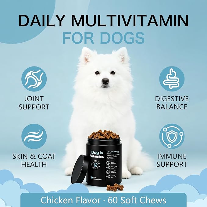 Dog is Multivitamin Chews with Salmon Oil & Chondroitin, 60 Chews (1pc)