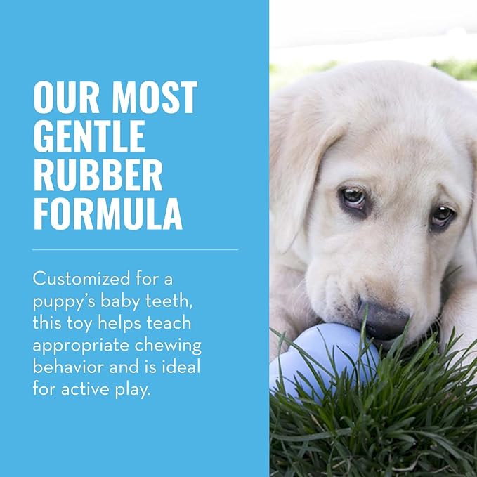KONG Puppy, Natural Rubber Teething Chew Toy, for XS Puppies, Blue | Gentle Natural Teething Rubber Toy, Stuffable for Treats & Built for Chewing & Fetch with Growing Puppies