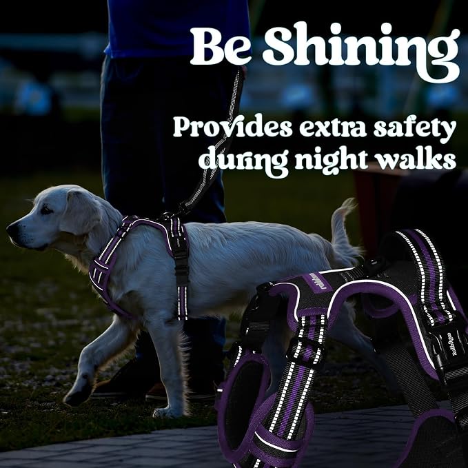 rabbitgoo Dog Harness Medium Sized, Updated Easy On & Off with 3 Buckles | No Pull No Choke, Walking with 2 Clips and Handle, Adjustable Soft Reflective, Black & Purple, Medium