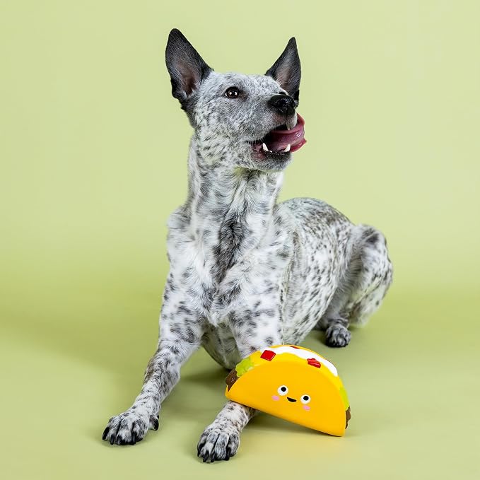 Fringe Studio WHATCHU Taco ‘Bout Latex Dog Toy, Pet Shop Collection (366020)
