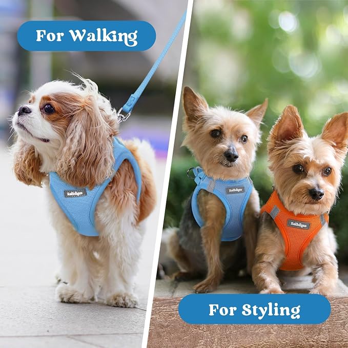 rabbitgoo Step-in Small Dog Harness, Puppy Vest for Small Sized Pet | Easy Put on and off, Lightweight, Soft, Breathable Quick-Dry Air Mesh for Comfortable Secure Walking, Blue XXXS