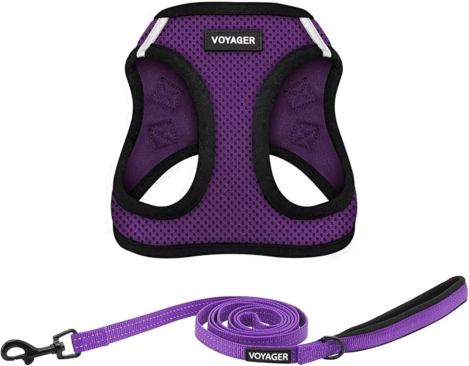 Voyager Step-in Air All Weather Mesh Harness and Reflective Dog 5 ft Leash Combo with Neoprene Handle, for Small, Medium and Large Breed Puppies by Best Pet Supplies - Purple, Small