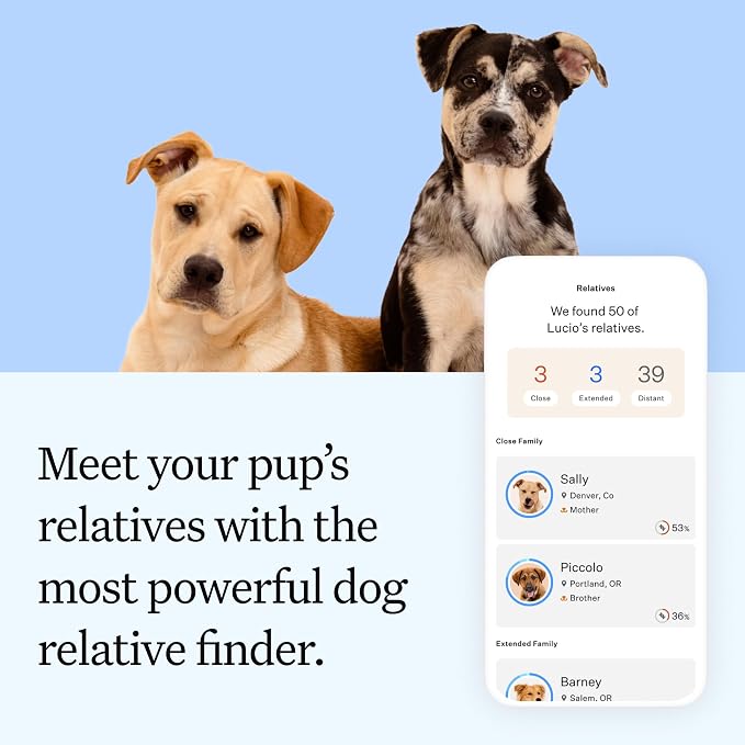 Wisdom Panel Essential DNA Test Kit, 2-Pack