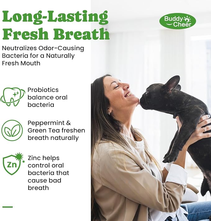 Digestive & Skin Support Chews + Dental Care Powder - Probiotics with Enzymes for Gut Comfort & Itch Ease, Tartar Control & Fresh Breath for Dogs & Cats - 180 Chews + 150g Powder