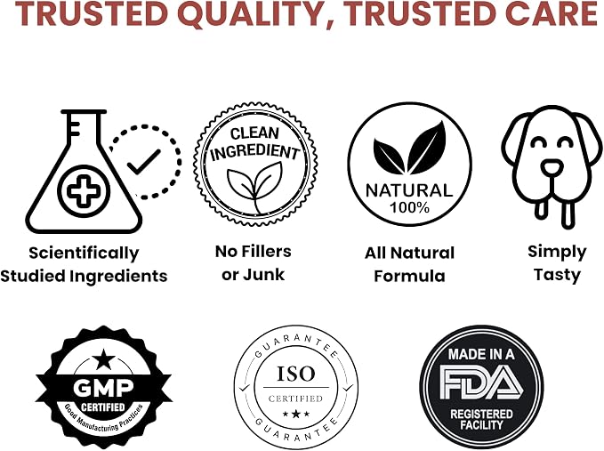 Noble Beast Dog Multivitamin Supplements, Soft Chews with Probiotics, Glucosamine Chondroitin Joint Support, Digestive Enzymes, Immune Support Vitamins for Skin & Coat, Chicken Flavor - 120 Count