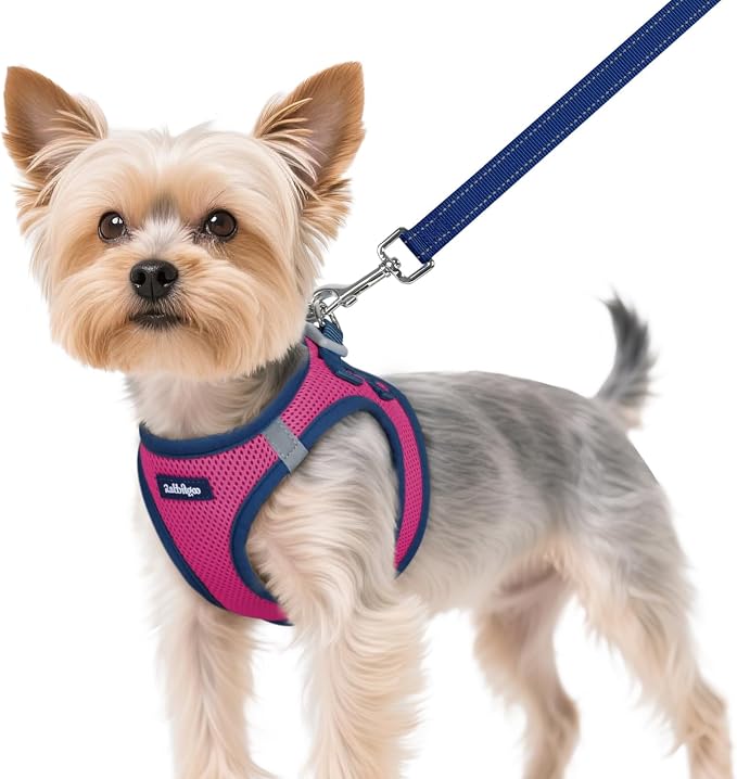 rabbitgoo Dog Harness Small Sized and Leash Set, Step in Soft Vest | Breathable Mesh, Easy Wear with Hook & Loop, Light and Reflective for Walking, Multi-colored, Rose Red & Navy Blue, XS