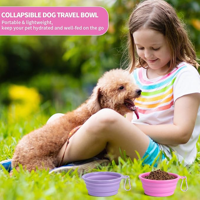 SLSON Macaron Collapsible Dog Bowl, 2 Pack, Small, Rose & Violet