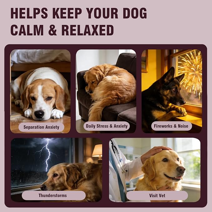 Calming Chews for Dogs 200 ct, Melatonin, Chicken, 200-Pack, 200 ct