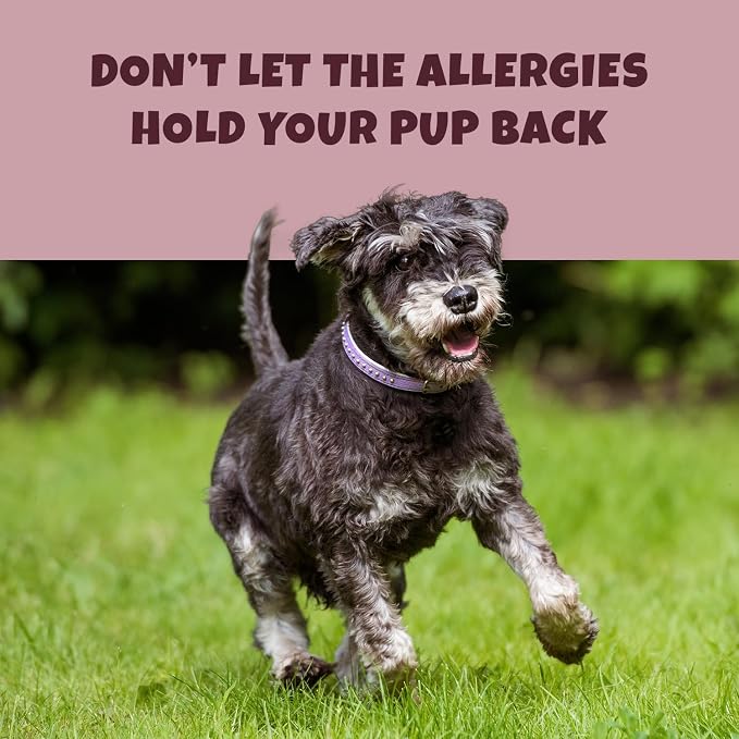 PETIPET Turmeric + Curcumin - Natural, Human-Grade Allergy Relief Soft & Chewy Chews, Hip and Joint Supplement, and Anti-Inflammatory for Dogs