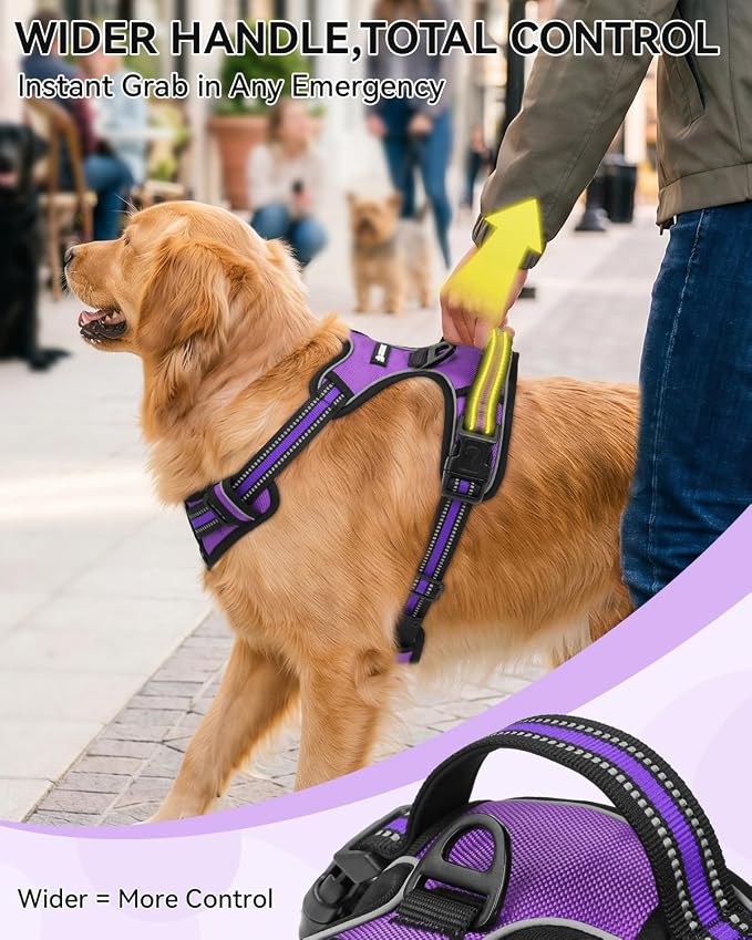 Joytale No Pull Dog Harness & Seat Belt, Easy On 3-Buckle, M, Purple | Front Clip Reduces Pulling, Escape-Resistant Design, Adjustable Fit, Soft Padding for Comfort, Secure Tether for Safer Travel